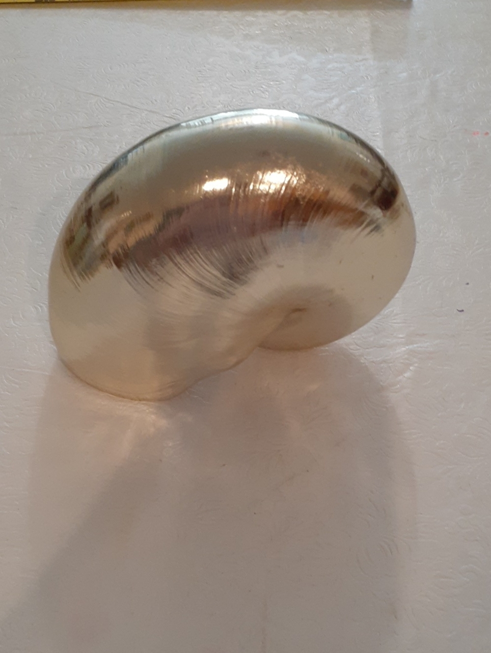 Gold Nautilus Shell By Lazy Susan